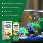 Mrorea Powerful Aquarium Water Purification Tablets for garden lawn and outdoor maintenance image 3