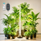 Mrorea 360° Grow Lights for Indoor Plants for garden lawn and outdoor maintenance image 1