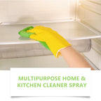 Mrorea Electrolyzed Ion Kitchen Cleaner Spray