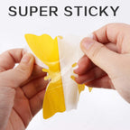 Mrorea Sticky Plant Traps kit