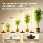 Mrorea 360° Grow Lights for Indoor Plants for garden lawn and outdoor maintenance image 5