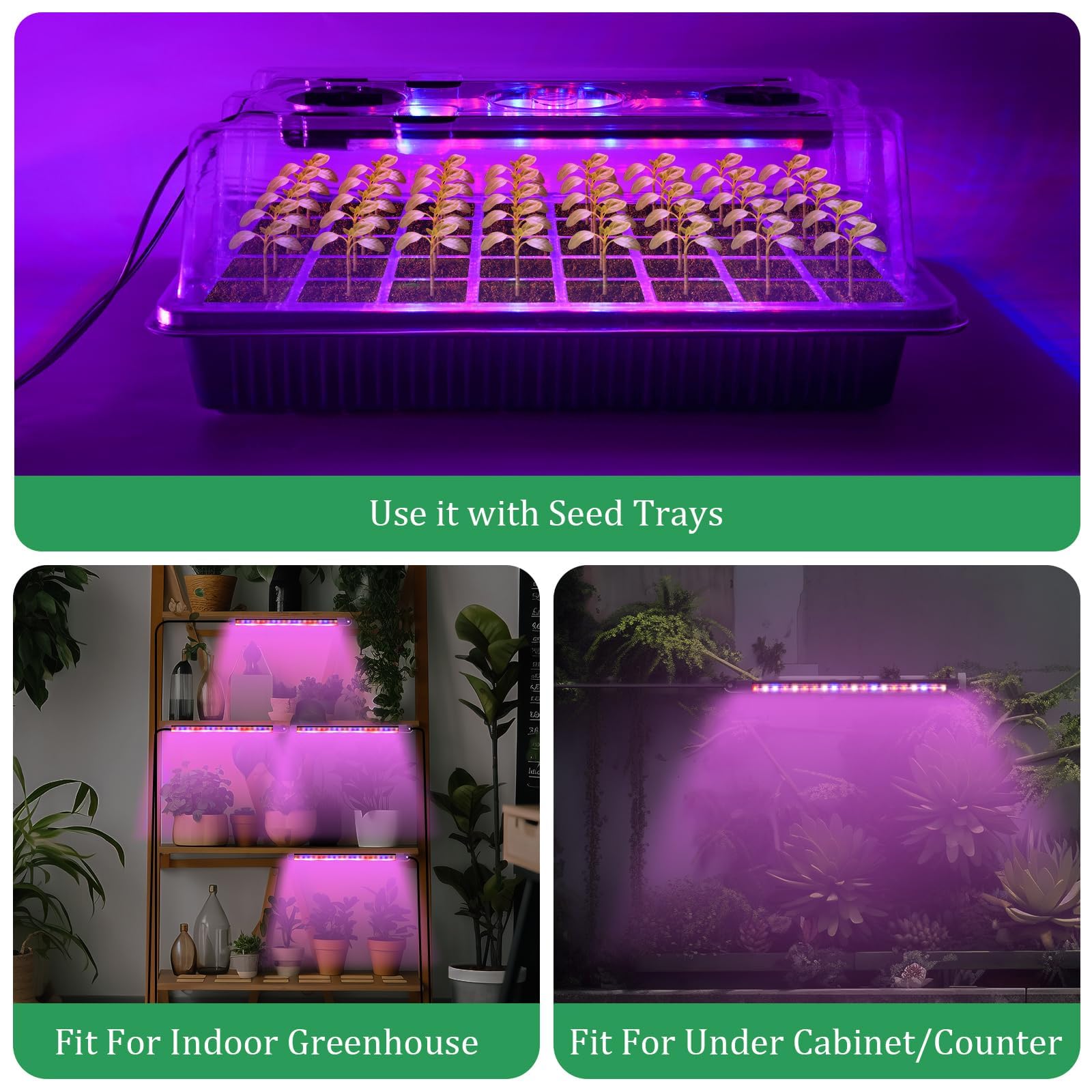 Mrorea Seed Starter Tray with Grow Light Set for garden lawn and outdoor maintenance image 6